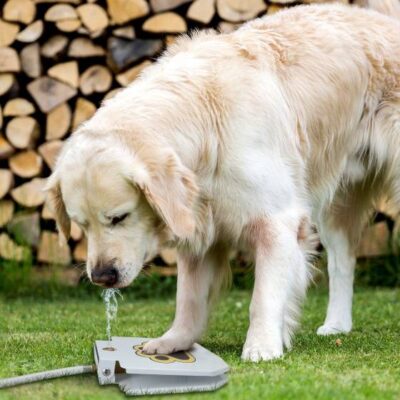 Automatic Outdoor Dog Water Fountain Feeding & Watering Supplies