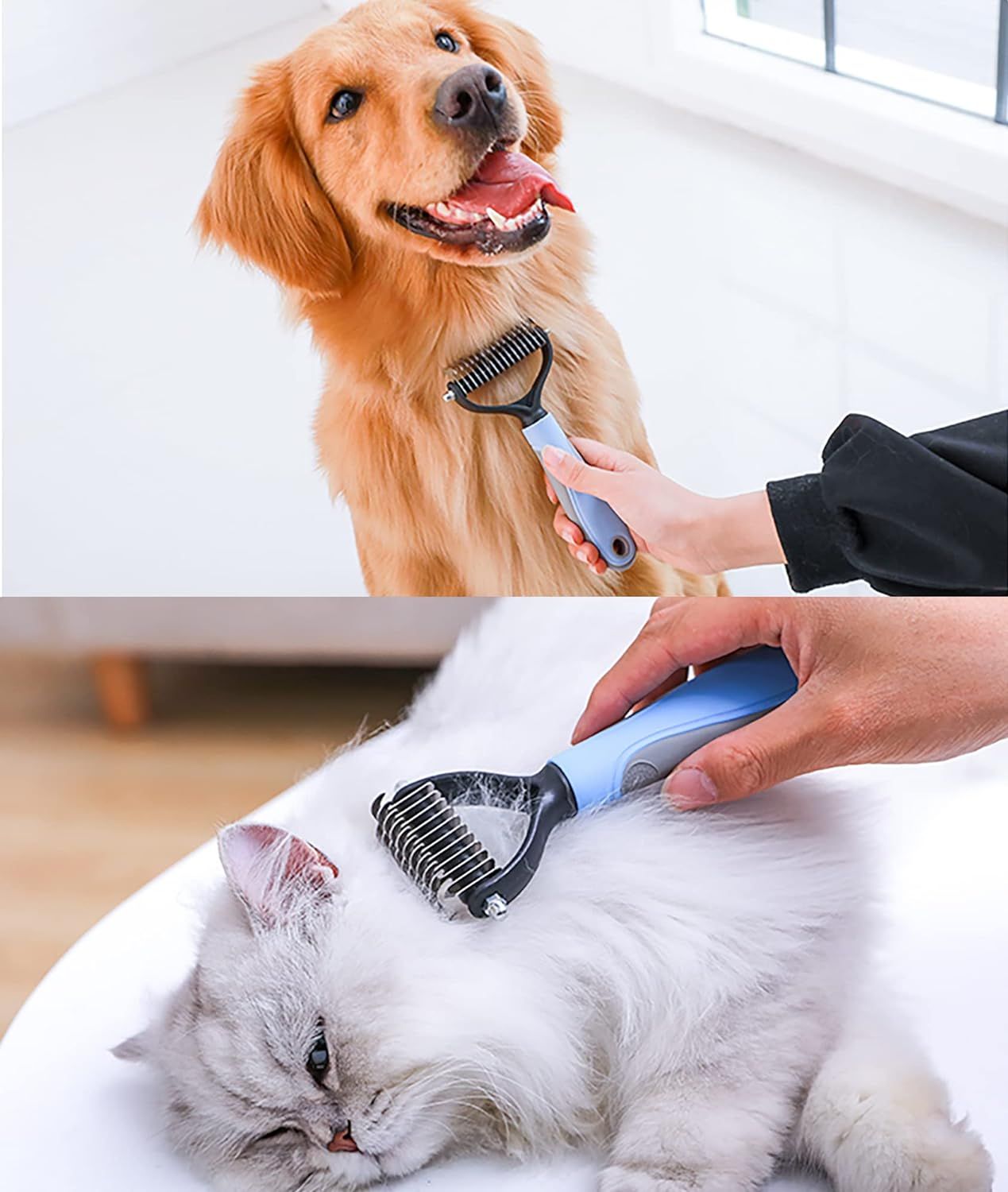 71qibT2DbRL._SL1500_